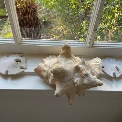 Sale Photo Thumbnail #44