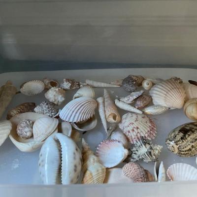 Sale Photo Thumbnail #60