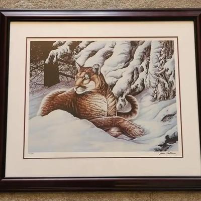 "Cougar in Winter" by Jim Collins (BR2)