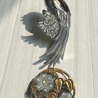 Quetzal bird round floral pins