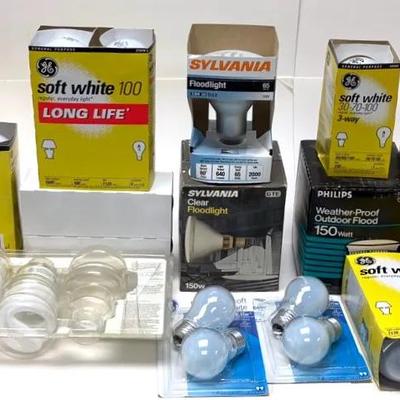 Assorted Light Bulb Bundle 