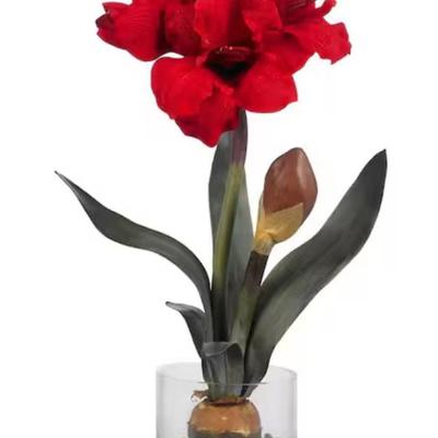 Sale Photo Thumbnail #1432