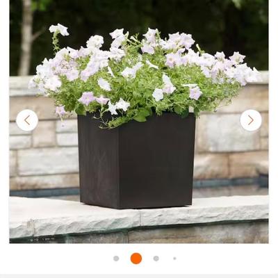 Sale Photo Thumbnail #619