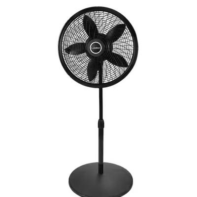 Sale Photo Thumbnail #1436