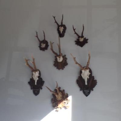 Sale Photo Thumbnail #354