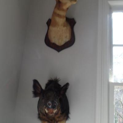 Sale Photo Thumbnail #355