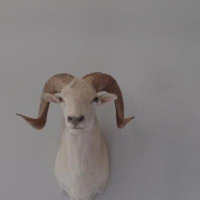 Sale Photo Thumbnail #351