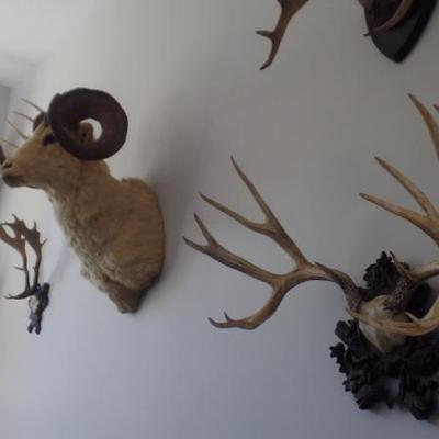 Sale Photo Thumbnail #352