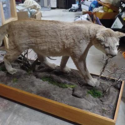 Sale Photo Thumbnail #219