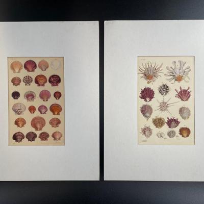 Sale Photo Thumbnail #269