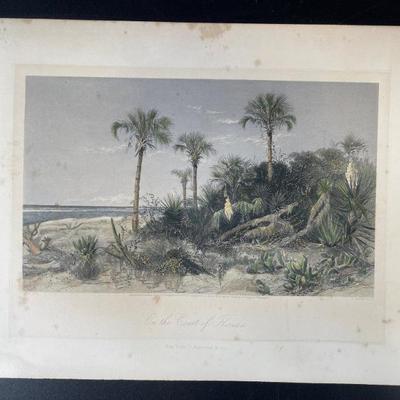 Sale Photo Thumbnail #261