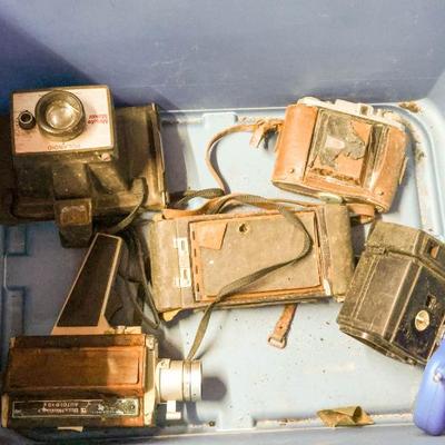 Sale Photo Thumbnail #959