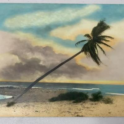 EHE342 - Very RARE Ray Jerome Baker Hand Colored Photograph 1 of 3 Beach Scene w/Leaning Palm