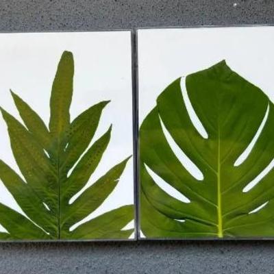 EHE013 Set Of 4 Fern Photography