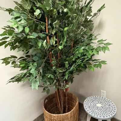 7’ Ficus Artificial Tree, Basket & Accent Table/Stand
