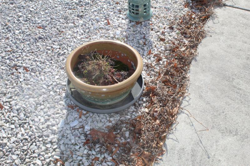 Sale Photo Thumbnail #343