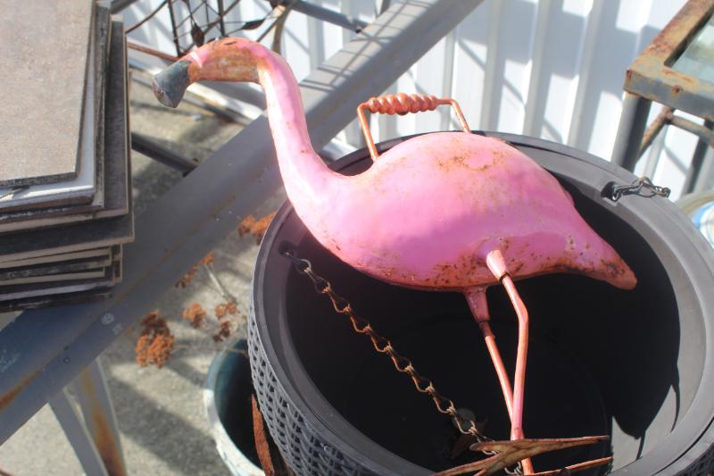 Sale Photo Thumbnail #350