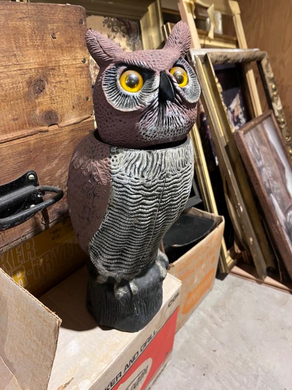 Sale Photo Thumbnail #40