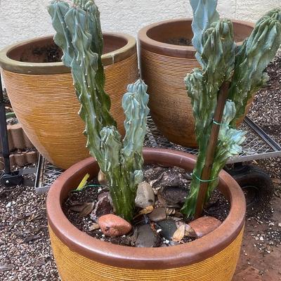 Three Large Pots And A Cart  