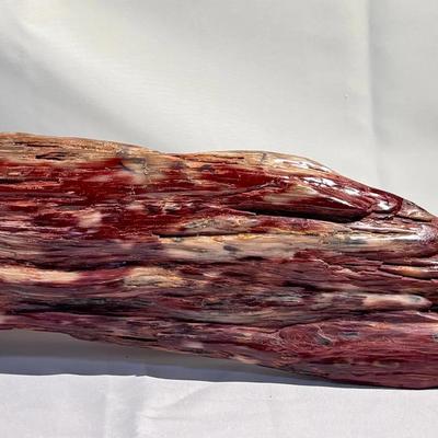 21" Polychrome Silicified Wood