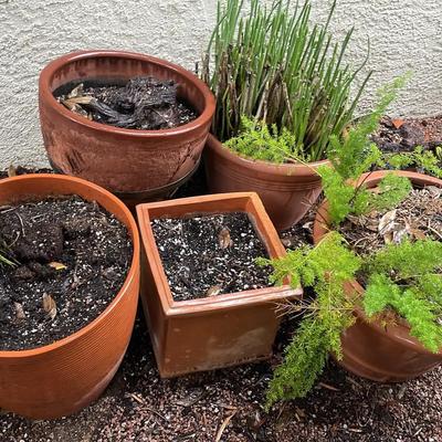 Large Terra Cotta Pots