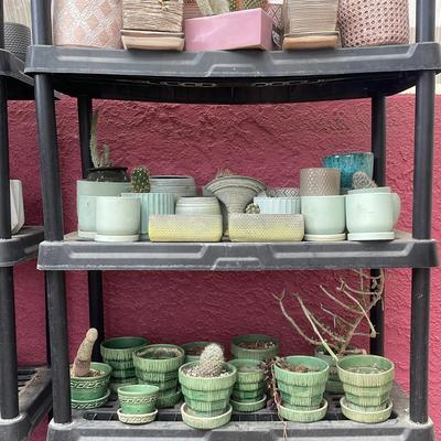 Green Pots And Shelf  