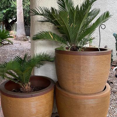 Three Large Pots 