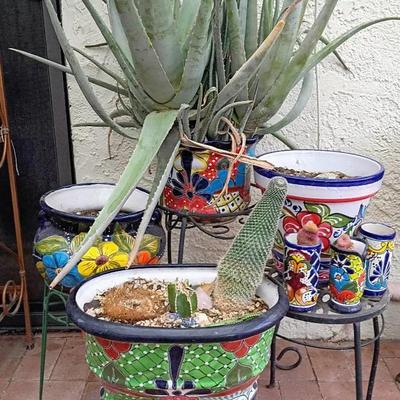 Colorful Talavera Pottery With Cactus 