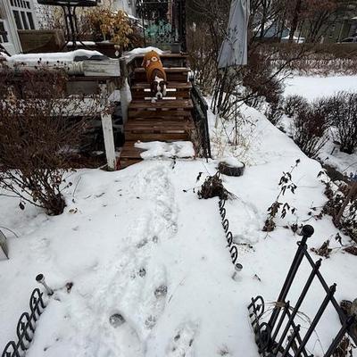 Sale Photo Thumbnail #148