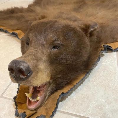 Brown Bear Rug