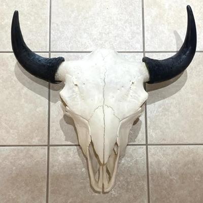 Bison Skull