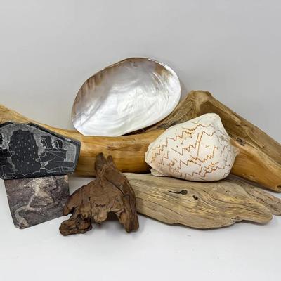 Inuit Carving And Natural Objects 