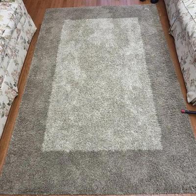 Area Rug 63x90