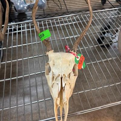 Sale Photo Thumbnail #59