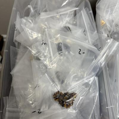 Sale Photo Thumbnail #27