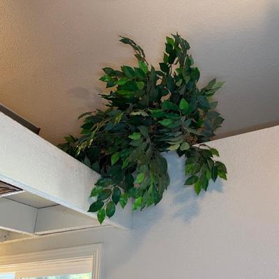 Sale Photo Thumbnail #140