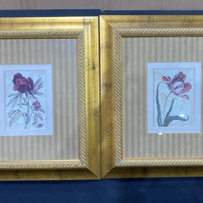 Flower Prints/Pair of Framed Botanical Prints 17"x 21"