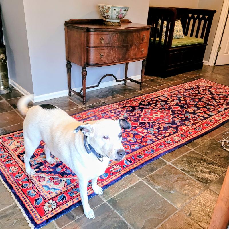 Sale Photo Thumbnail #24