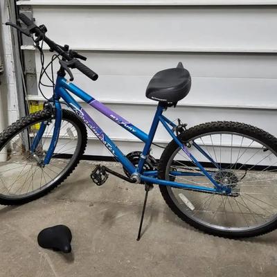 Women's Roadmaster Bike