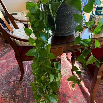 Sale Photo Thumbnail #46