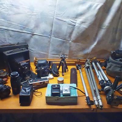 Sale Photo Thumbnail #194