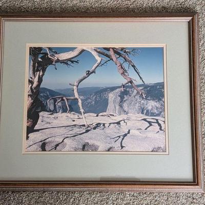 Sale Photo Thumbnail #115