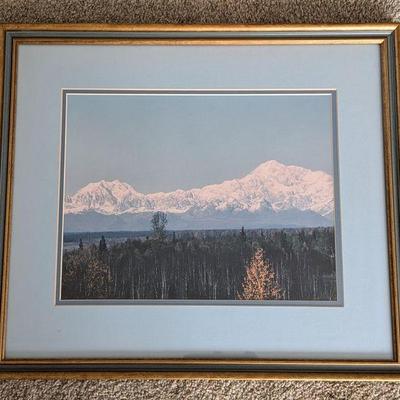 Sale Photo Thumbnail #114