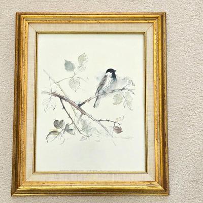 Framed Bird Art Print / Lithograph – Reed Bunting – 15" x 18"
