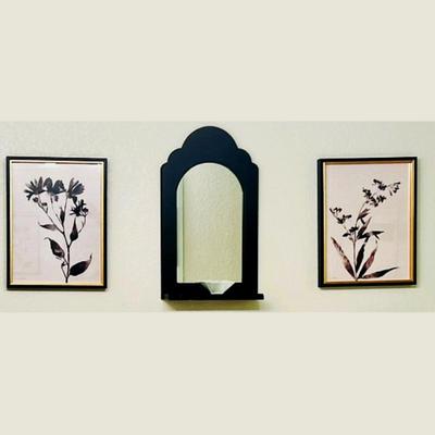 Set of Two Framed Black and White Botanical Prints with Wall Mirror