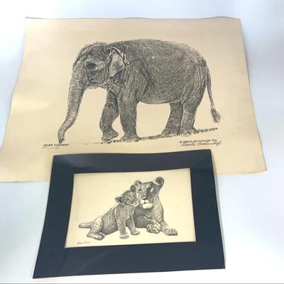 Elephant Print By Charles Beckendorf Lion Print By Andrew