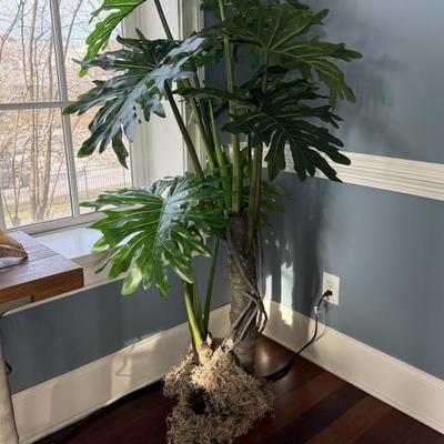 Sale Photo Thumbnail #18