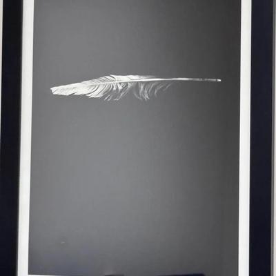 “Feather #2” by Artist H.Kirkystuck