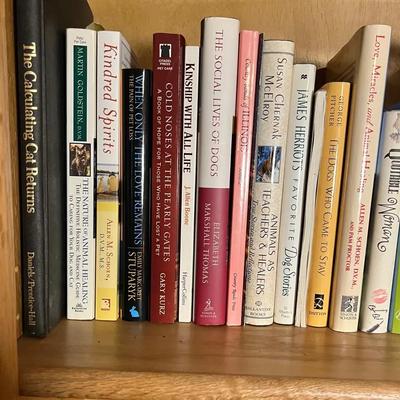 Vintage Book Lot / Health, Herbs, Spiritual And New Age Healing Medicine 