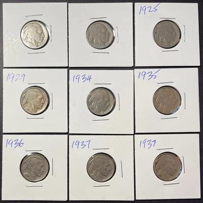 Collection Of US Buffalo Nickels (9)